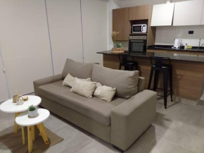 Hermoso departamento muy bien ubicado, cercano calle Aristides